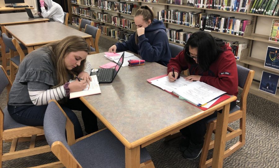 Bridget, Thien Tran, and Ashlynn are busy studying in the library in preparation of their upcoming final exams.