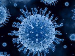 Coronavirus Epidemic