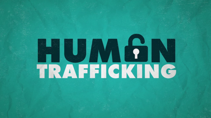 Human Trafficking: False Information and Taking Action
