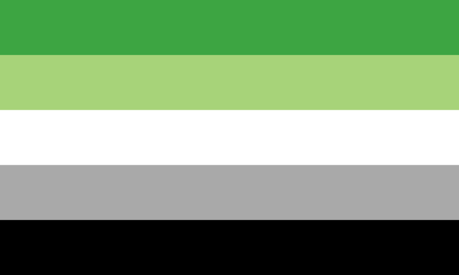 flag+design+with+five+colors%2C+spanning+from+green%2C+light+green%2C+white%2C+gray%2C+and+then+black.