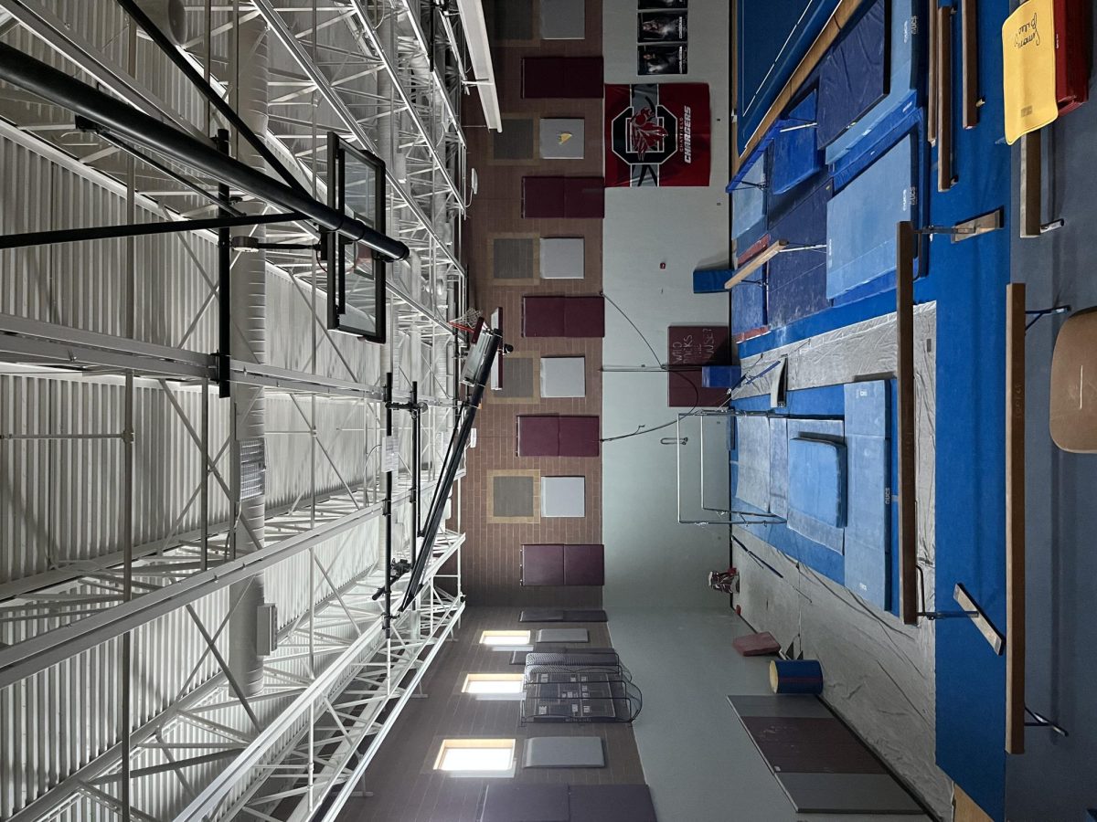 Empty Gym for Gymnastics