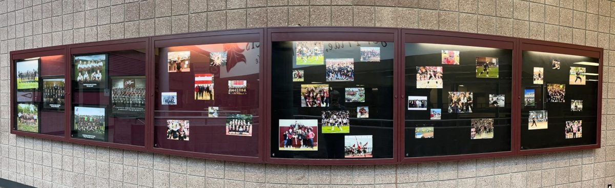Upper B Hall Picture Case