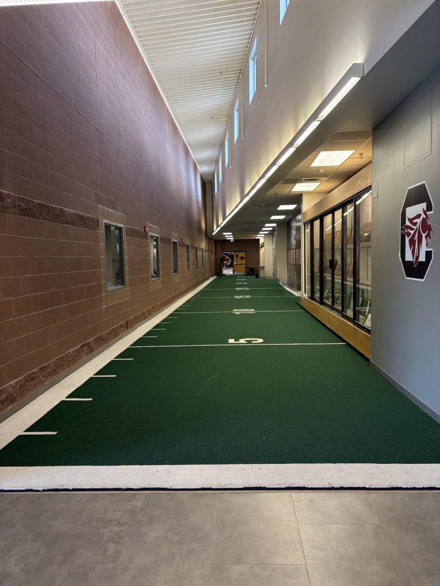 Turf hallway