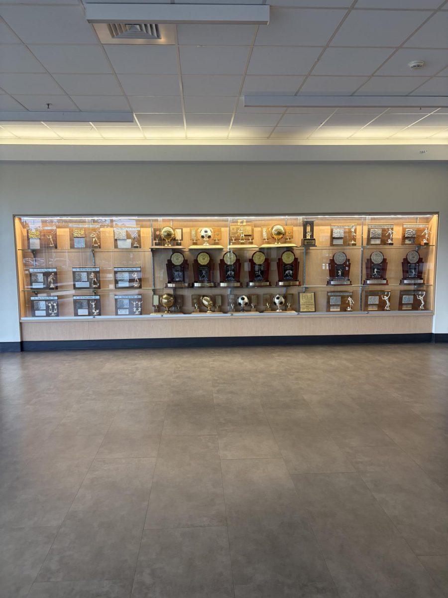 Trophy case 
