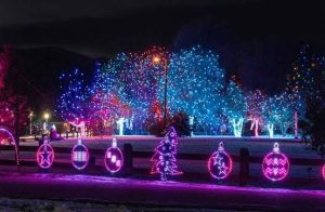 Seasonal Fun Blooms at Botanic Gardens