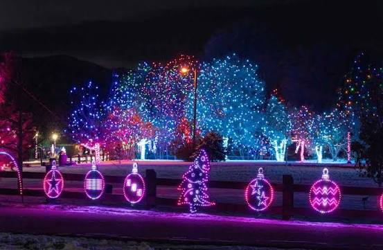 Seasonal Fun Blooms at Botanic Gardens