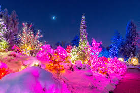 Christmas Lights In The Charger Community